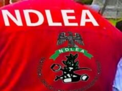 Shock as NDLEA arrests musician, busts secret drug lab in Lagos!