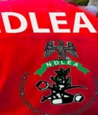 Shock as NDLEA arrests musician, busts secret drug lab in Lagos!