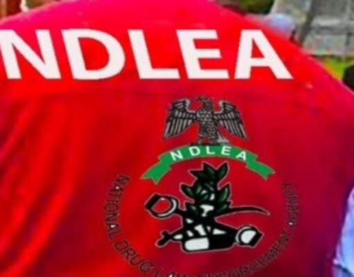 Shock as NDLEA arrests musician, busts secret drug lab in Lagos!